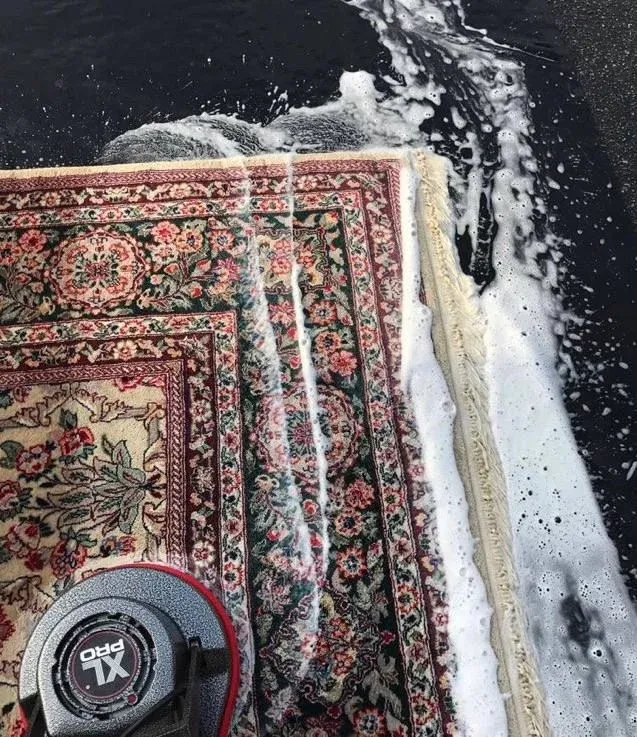 Professional deep cleaning for carpets and rugs in Qatar